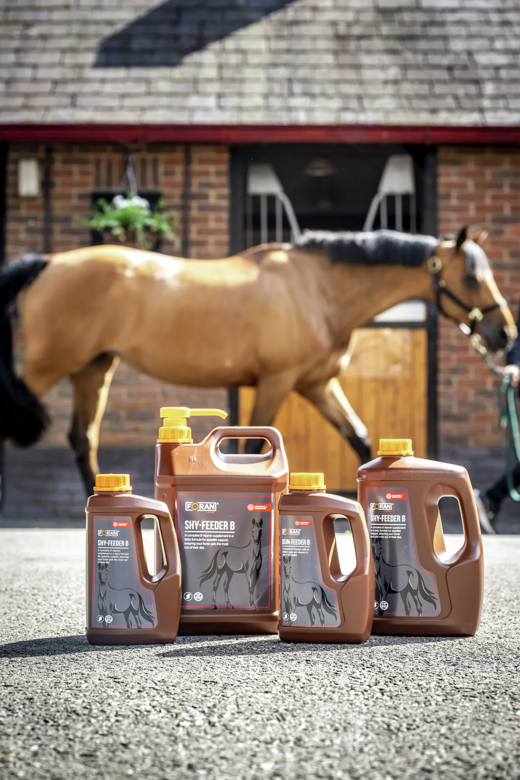 Fodertillskott Shy Feeder B-vitamin 1L>Foran Equine Clearance