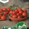 Fröer Ampeltomat Gartenperle>Nelson Garden Discount