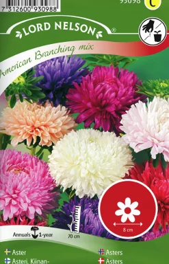 Fröer Aster Busk Amerikansk>Nelson Garden Clearance