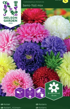 Fröer Aster Dubbel Blandade färger>Nelson Garden Best