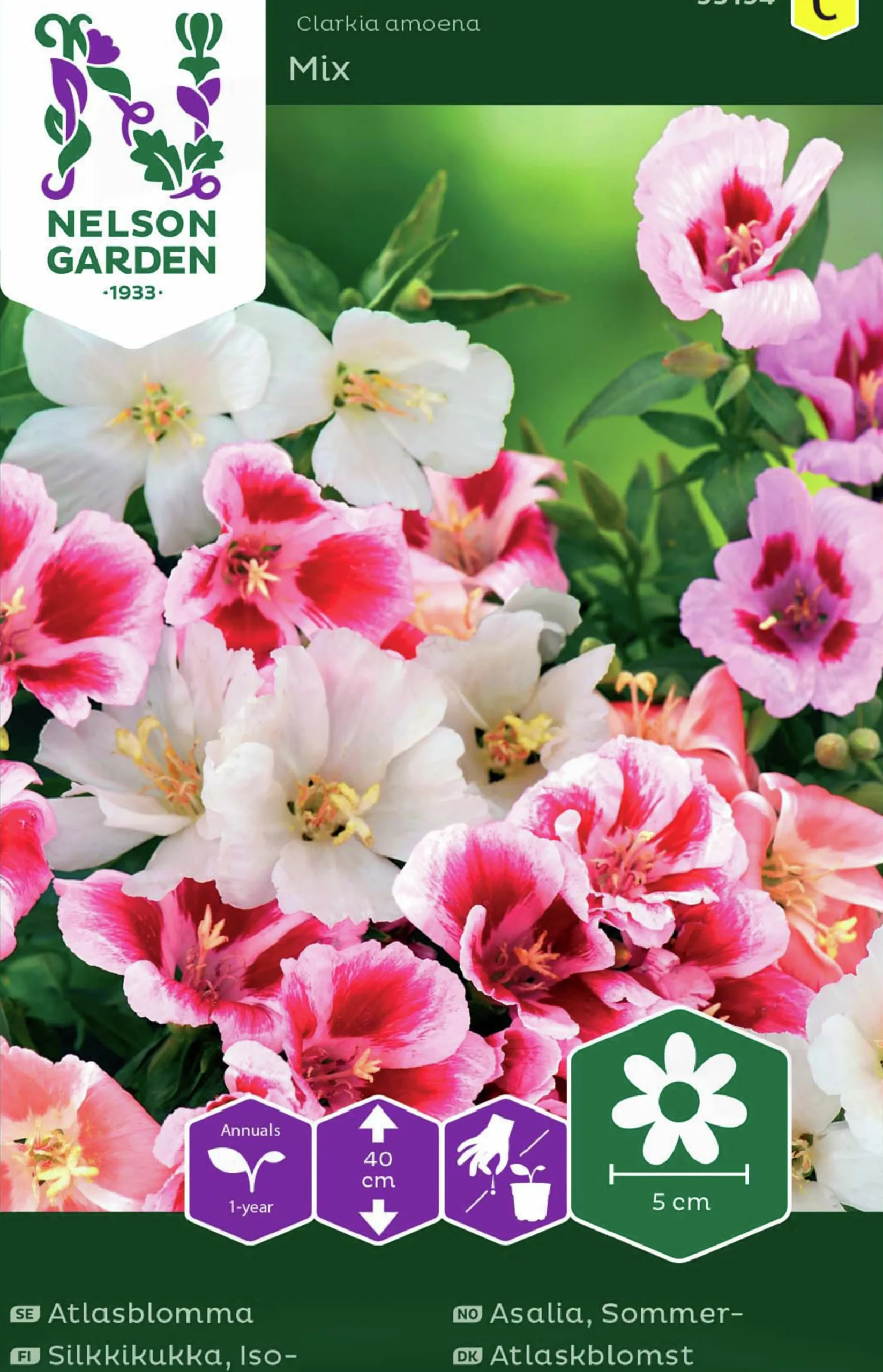 Fröer Atlasblomma Blandade färger>Nelson Garden Hot