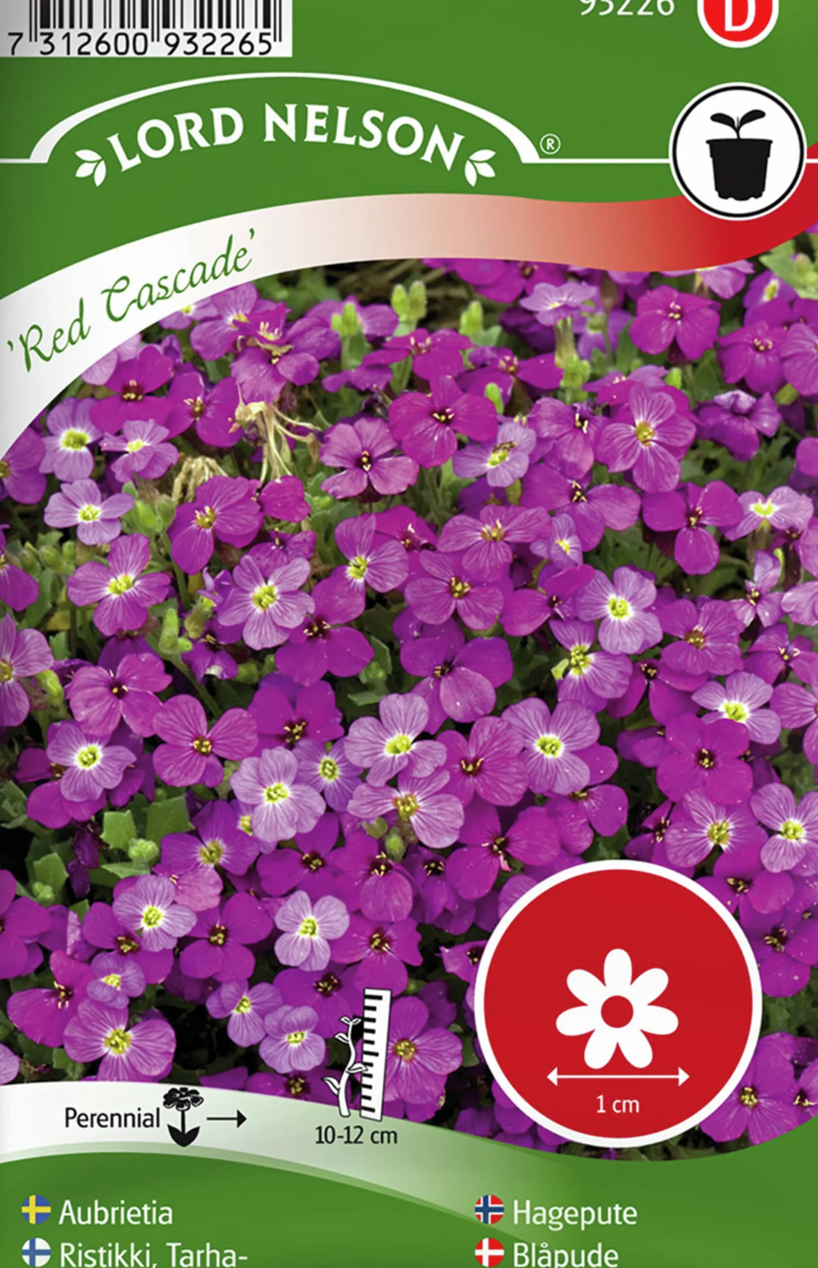 Fröer Aubrietia Red Cascade>Nelson Garden New