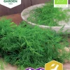 Fröer Bladdill Gold Crown Organic>Nelson Garden Outlet