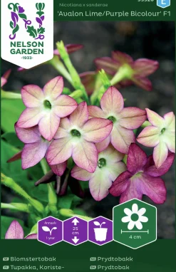 Fröer Blomstertobak Avalon Lime/Purple F1>Nelson Garden Online