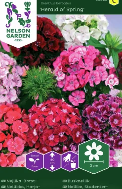 Fröer Borstnejlika Herald of Spring>Nelson Garden Outlet