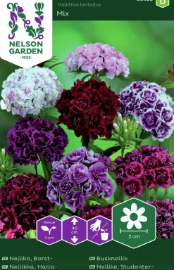 Fröer Borstnejlika Dubbel>Nelson Garden Best
