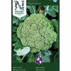 Fröer Broccoli Mauricius F1>Nelson Garden Hot