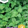 Fröer Citronmeliss>Nelson Garden New