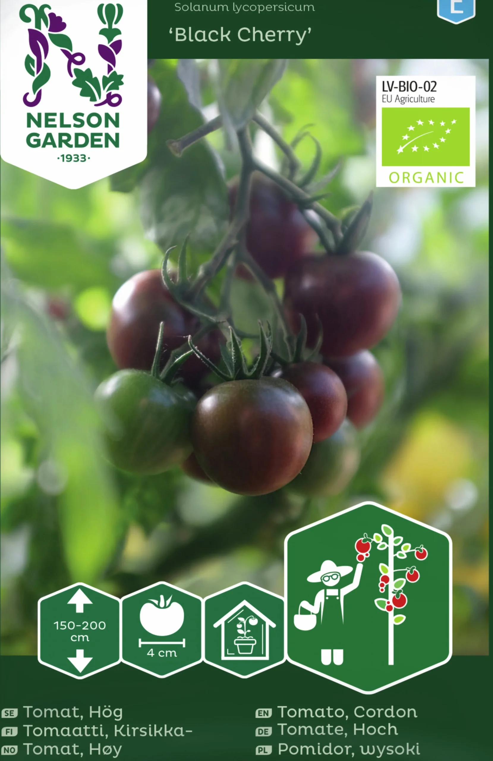 Fröer Cocktailtomat Black Cherry Hög Organic>Nelson Garden New
