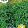 Fröer Dill Como Big Pack>Nelson Garden Clearance