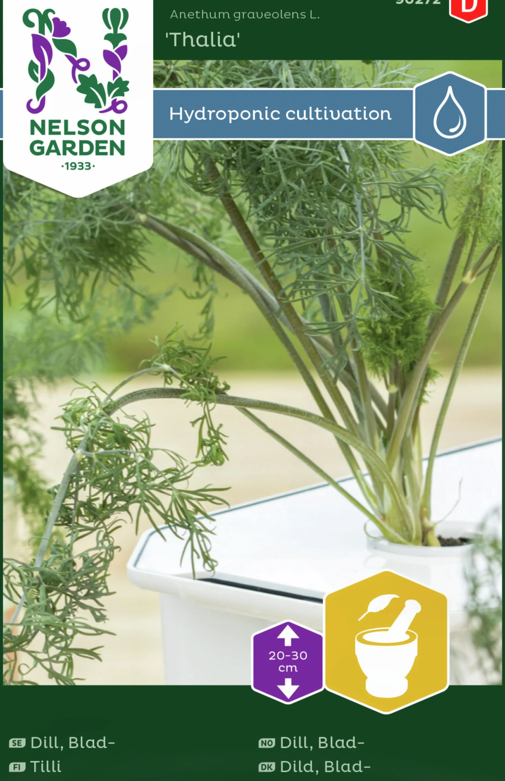 Fröer Dill Thalia Hydroponisk odling>Nelson Garden Outlet