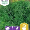 Fröer Dill Vanlig Como Såband>Nelson Garden Outlet