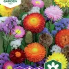 Fröer Eterneller Mix>Nelson Garden Clearance