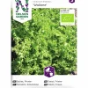 Fröer Friséesallat Wallone Organic>Nelson Garden Online