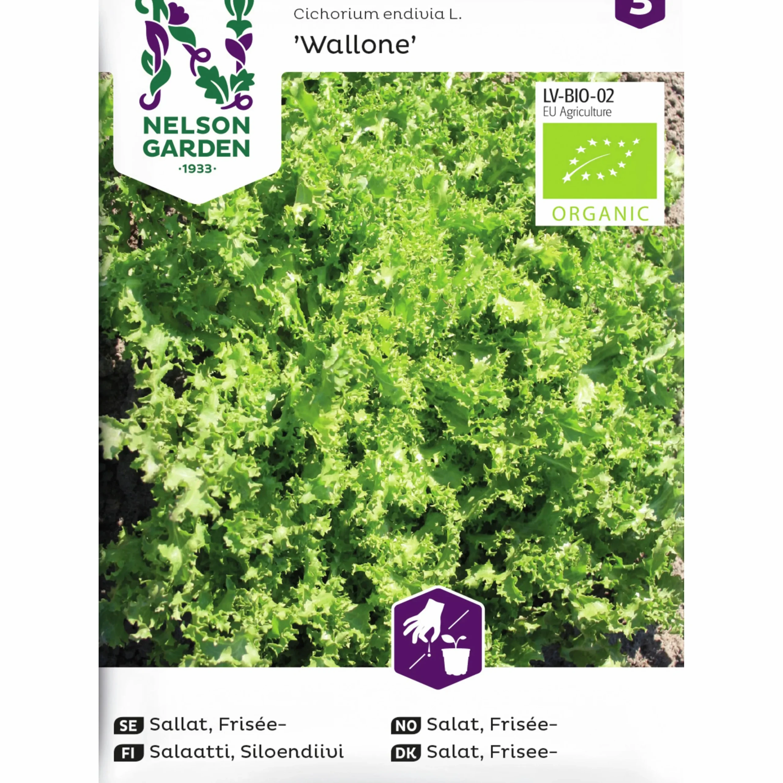 Fröer Friséesallat Wallone Organic>Nelson Garden Online
