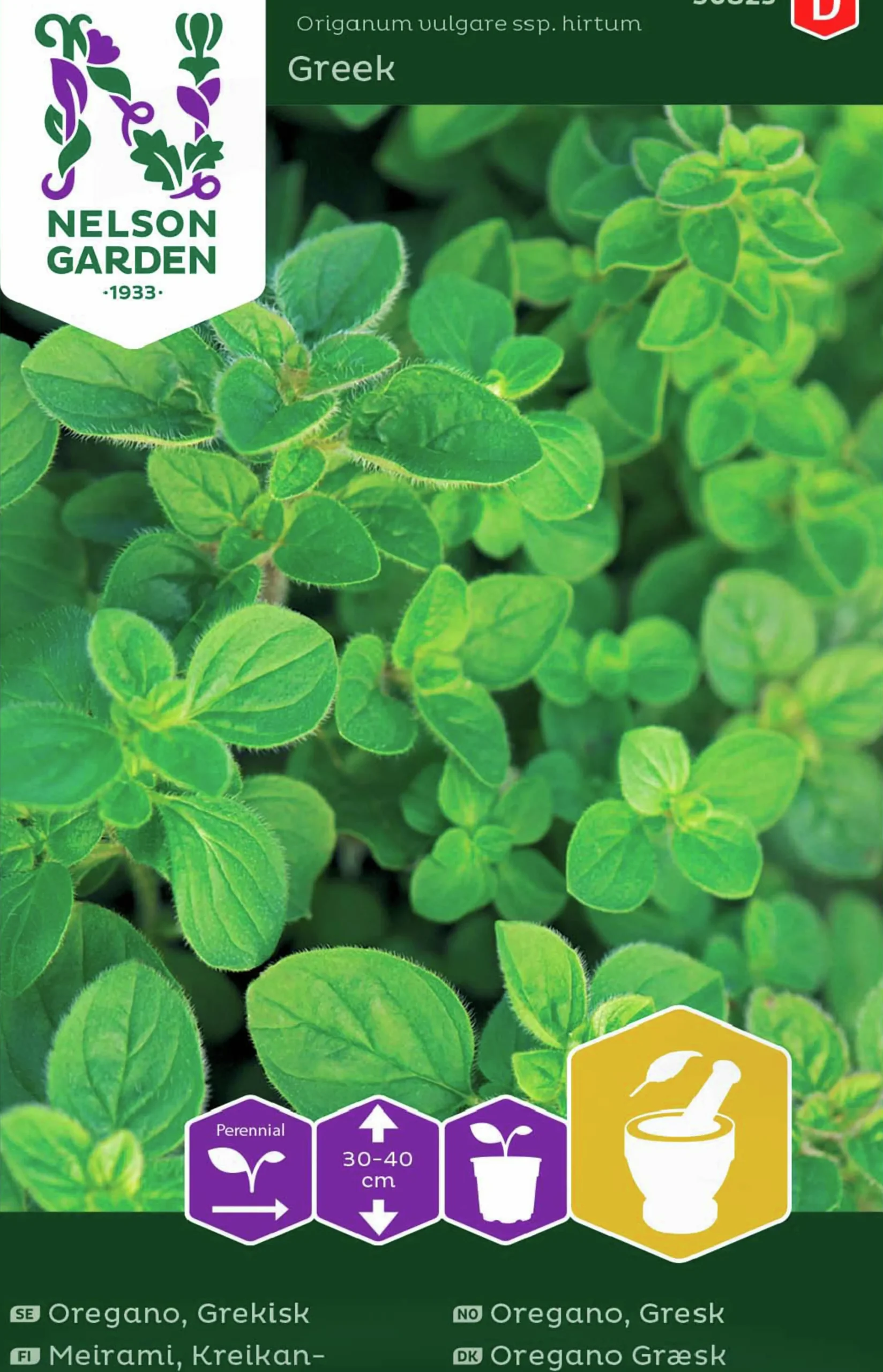 Fröer Grekisk oregano>Nelson Garden Best