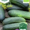 Fröer Gurka Frilands Profi F1 Organic>Nelson Garden Online