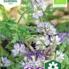 Fröer Honungsfacelia Organic Blå>Nelson Garden Sale