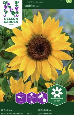 Fröer Jättesolros Gul Hög>Nelson Garden Online