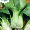 Fröer Kål Pak Choi Summer Breeze F1>Nelson Garden Online