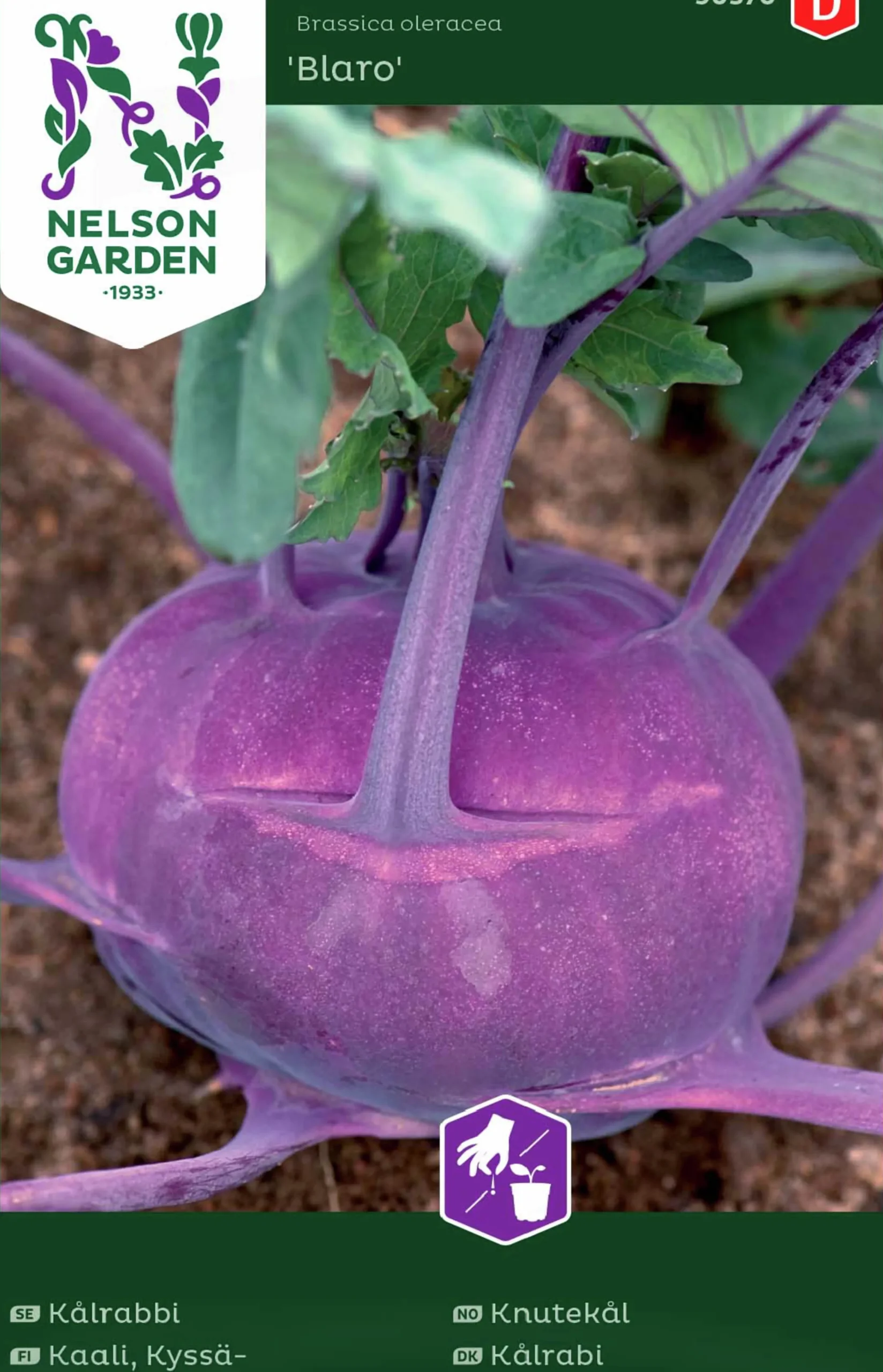 Fröer Kålrabbi Blaro Violett>Nelson Garden