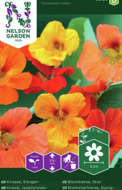 Fröer Krasse Slinger- Blandade Färger>Nelson Garden Sale
