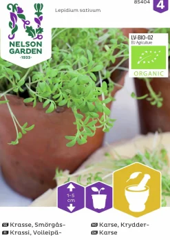 Fröer Krasse Smörgås Organic>Nelson Garden Clearance