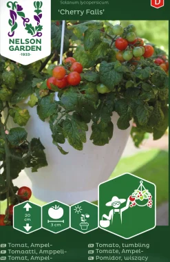 Fröer Körsbärstomat Cherry Falls>Nelson Garden Discount