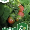 Fröer Körsbärstomat Balconi Red>Nelson Garden
