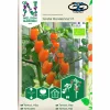 Fröer Körsbärstomat Krebs Mandarina Hög>Nelson Garden Sale
