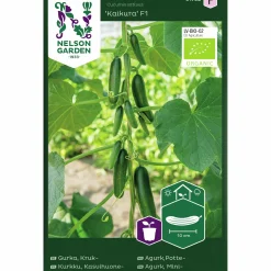 Fröer Krukgurka Kaikura F1 Organic>Nelson Garden Sale