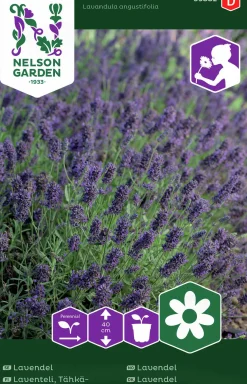 Fröer Lavendel>Nelson Garden Sale