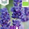 Fröer Lavendel Organic>Nelson Garden