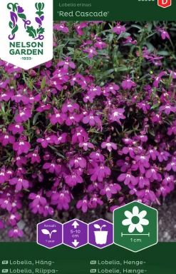 Fröer Lobelia Häng- Red Cascade>Nelson Garden New