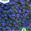 Fröer Lobelia Kant- Crystal Palace>Nelson Garden Sale