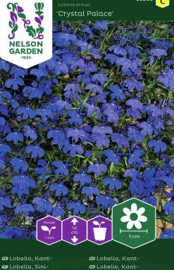 Fröer Lobelia Kant- Crystal Palace>Nelson Garden Sale
