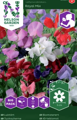 Fröer Luktärt Royal Blandade färger Big Pack>Nelson Garden Outlet