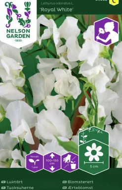 Fröer Luktärt Royal White Vit>Nelson Garden Hot