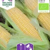 Fröer Majs Golden Bantam Organic>Nelson Garden Hot