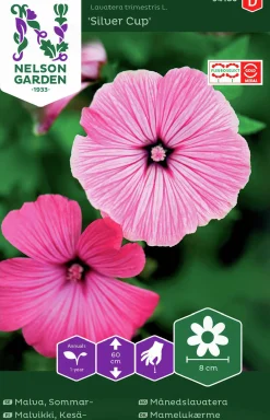Fröer Malva Sommar- Silver Cup Rosa>Nelson Garden New