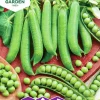 Fröer Märgärt Kelvedon Wonder Big Pack>Nelson Garden Outlet