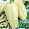 Fröer Paprika Amyka F1 Vit>Nelson Garden Discount