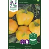 Fröer Paprika Cuneo Giallo>Nelson Garden Clearance