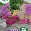 Fröer Pastellröllika Summer Pastels>Nelson Garden Discount