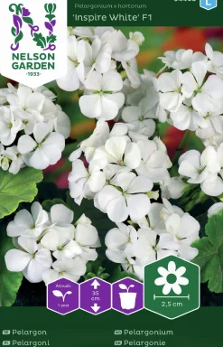 Fröer Pelargon Inspire White F1 Vit>Nelson Garden Sale