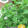 Fröer Pepparmynta>Nelson Garden Online