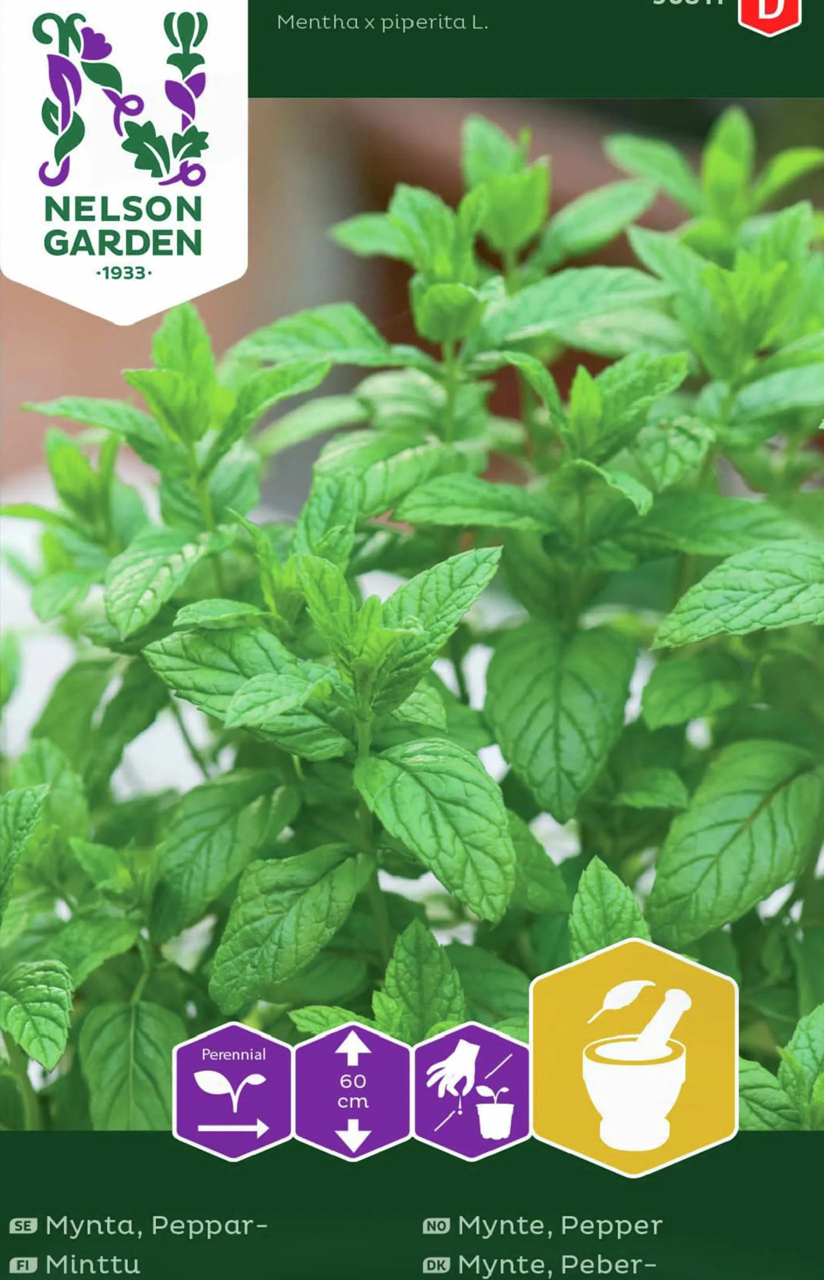 Fröer Pepparmynta>Nelson Garden Online