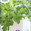 Fröer Plocksallat Cerbiatta Hydroponisk odling>Nelson Garden Discount