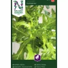 Fröer Plocksallat Cerbiatta>Nelson Garden Online