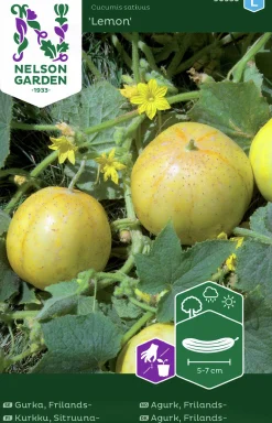 Fröer Äppelgurka Lemon>Nelson Garden Outlet